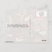 ザマンナハーベストbyボースディエリック ポストカード (裏面)