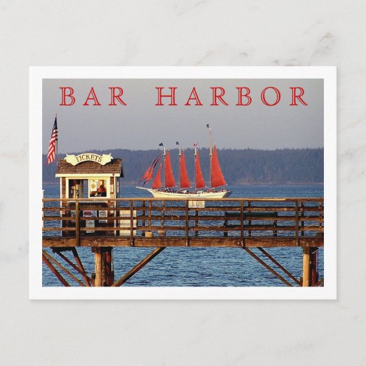 ザマーガレットトッド ポストカード (正面)