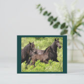 ザマールズポストカード ポストカード (スタンド正面)