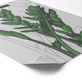 ザミオクルカスzamifolia ZZ植物 ポスター (角)