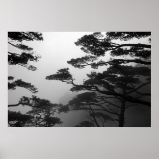 ザミスティックツリーズ – プリント