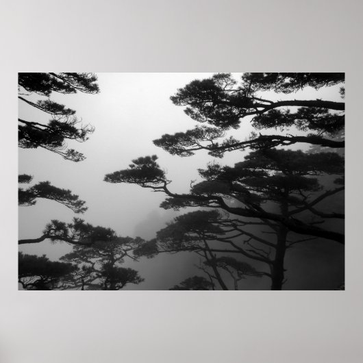 ザミスティックツリーズ – プリント (正面)