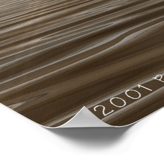 ザミダスTouch ポスター (角)