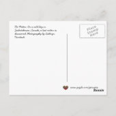 ザミッテンウクライナフォーク物語 ポストカード (裏面)