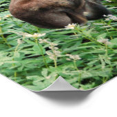 ザムース ポスター (角)