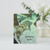 ザメのぐらつき ポストカード (スタンド正面)