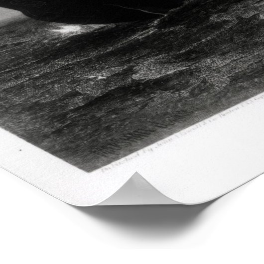 ザメイフラワー ポスター (角)