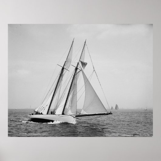 ザメイフラワー ポスター (正面)