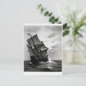 ザメイフラワー ポストカード (スタンド正面)