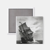 ザメイフラワー マグネット (正面/裏面)