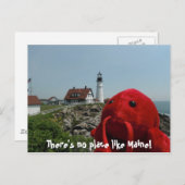 ザメインライン ポストカード (正面/裏面)