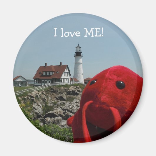 ザメインライン マグネット (正面)