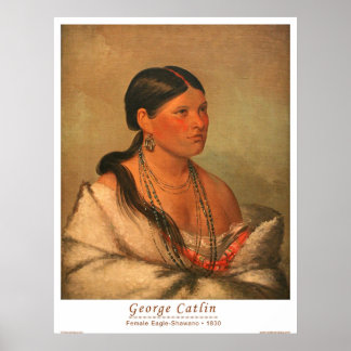 ザメスイーグルシャワノ ポスター