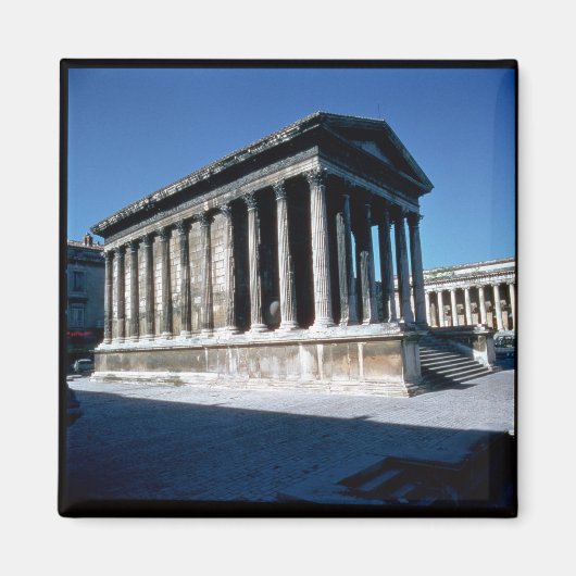 ザメゾンカリー マグネット (正面)