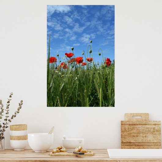 ザメドウ ポスター (キッチン)