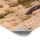 ザモンスタリーペトラヨルダン ポスター (角)