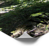 ザモンハイガンフェアリー ポスター (角)