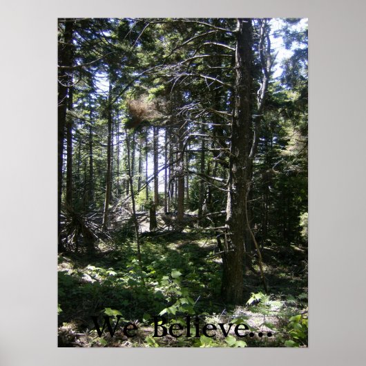 ザモンハイガンフェアリー ポスター (正面)