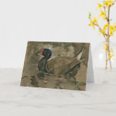 ザモーエン | ジョセフ・クラホール カード (黄色い花)