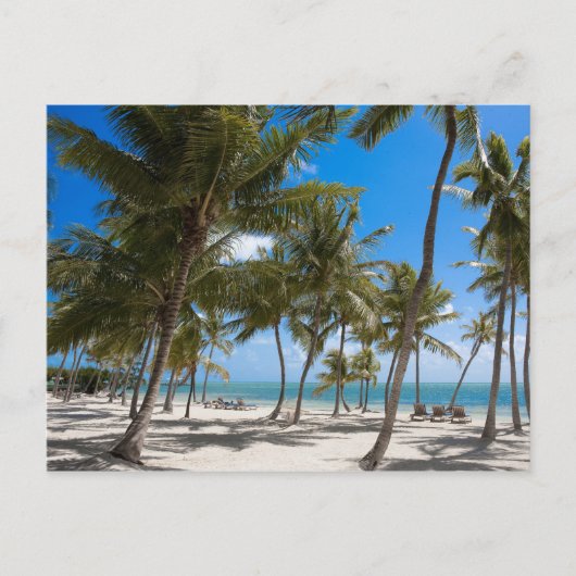 ザモーリングスリゾートマラソン、鍵ウエスト、2 ポストカード (正面)