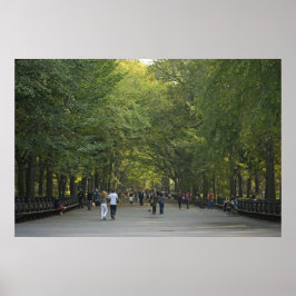 ザモールの晩夏 ポスター