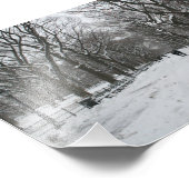 ザモールセントラルパークNY フォトプリント            (角)