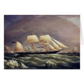 ザヨットキツネ1900s (正面横)