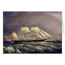 ザヨットキツネ1900s