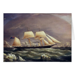 ザヨットキツネ1900s