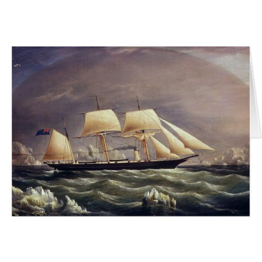 ザヨットキツネ1900s (正面横)