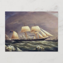 ザヨットキツネ1900s