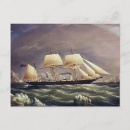 ザヨットキツネ1900s ポストカード