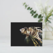 ザライオンフィッシュ ポストカード (スタンド正面)