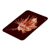 ザライオンフィッシュ マグネット (左側)