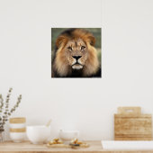 ザライオン ポスター (キッチン)