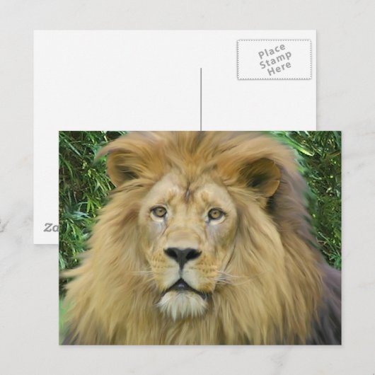 ザライオン ポストカード (正面/裏面)