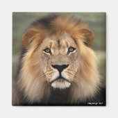 ザライオン マグネット (正面)