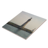 ザライトハウスアットエリーベイスンマリーナ タイル (側面)