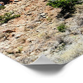 ザライトハウス ポスター (角)