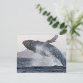 ザラスのクジラのポストカード ポストカード