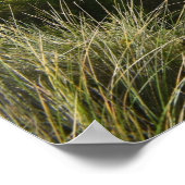 ザラゾバックポスター ポスター (角)