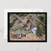 ザラダーズターキー走州パーク ポストカード (正面/裏面)