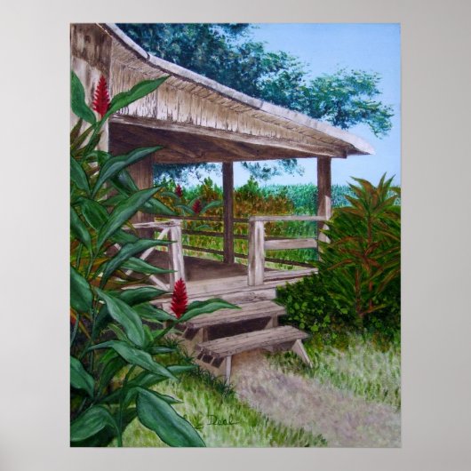 ザラナイ ポスター (正面)