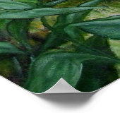 ザラナイ ポスター (角)