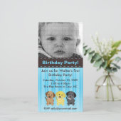 ザラブラドールブルー誕生日招待状 (スタンド正面)