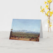 ザランデブーグリーンリバー付近 カード (黄色い花)