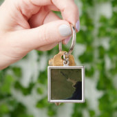 ザリオデラプラタ河口 キーホルダー (手)