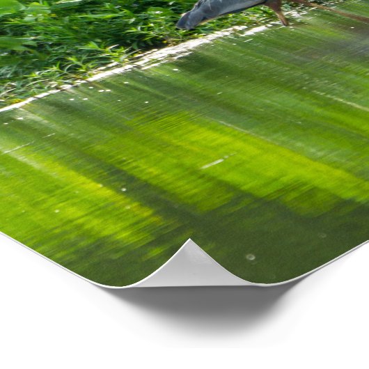 ザリガニの食事時間 ポスター (角)