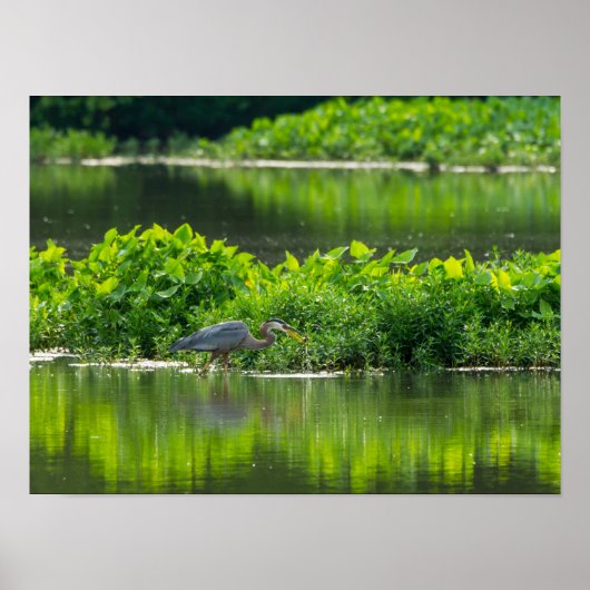 ザリガニの食事時間 ポスター (正面)