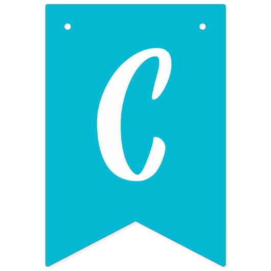 ザリガニ年間家族懇親会パーティー バンティングフラッグ (第2の旗)